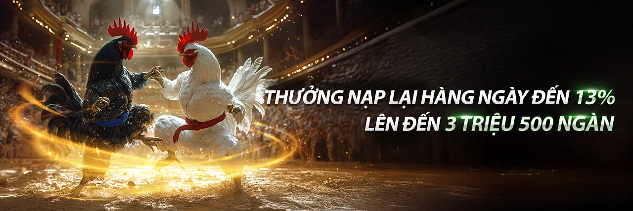 Chương trình hoàn trả hàng ngày hz88 link